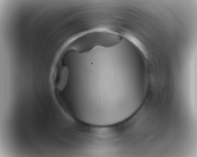 X0000088481428200706051352