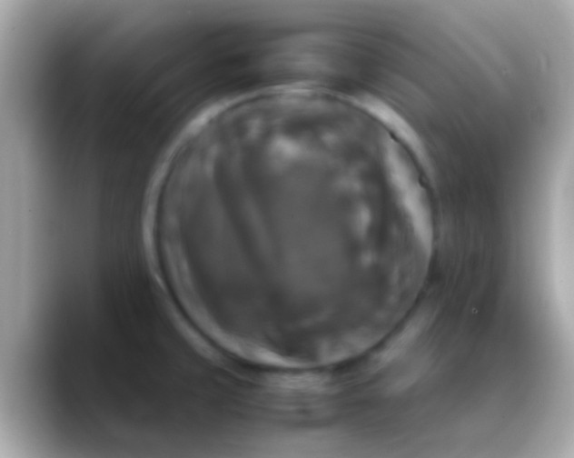 X0000088481429200706051352