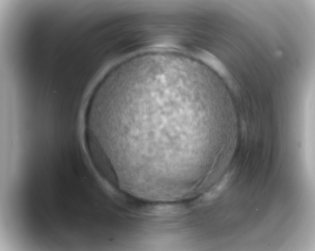 X0000088481430200706051352