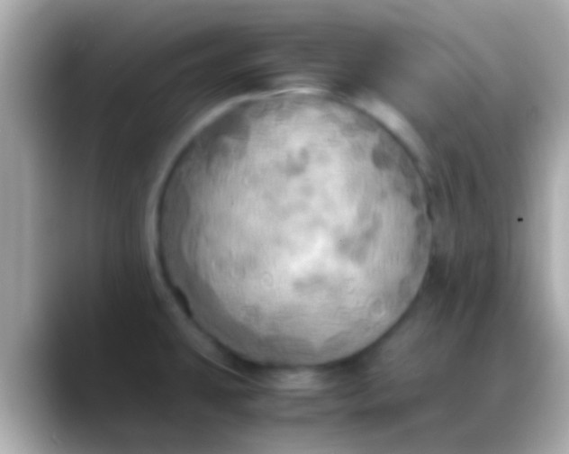 X0000088481431200706051352