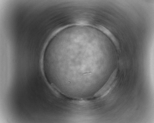 X0000088481432200706051352
