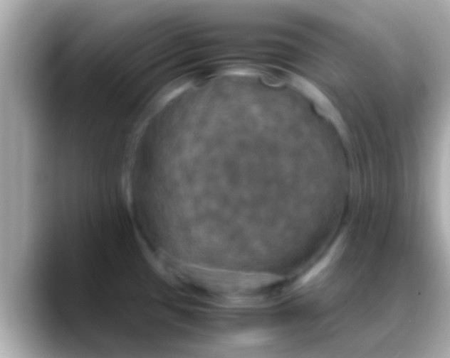 X0000088481433200706051352