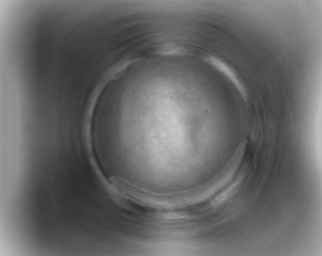 X0000088481434200706051352