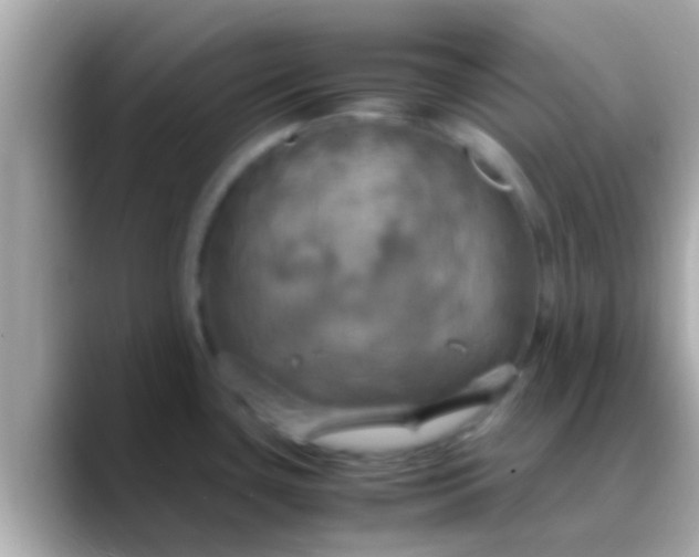 X0000088481435200706051352