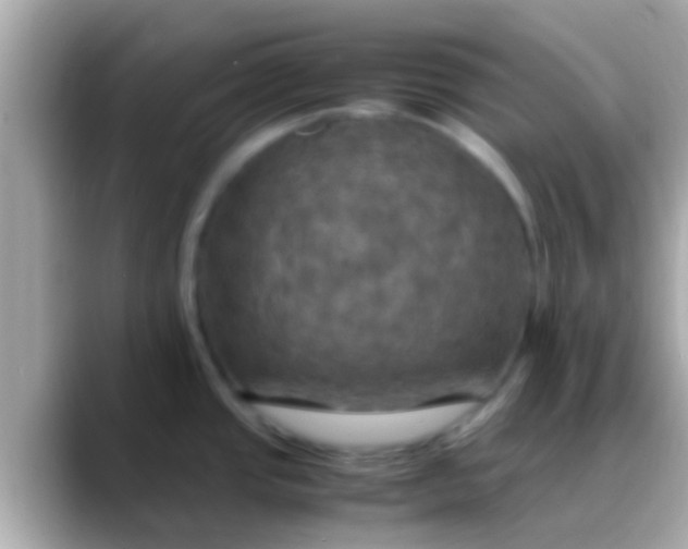 X0000088481437200706051352