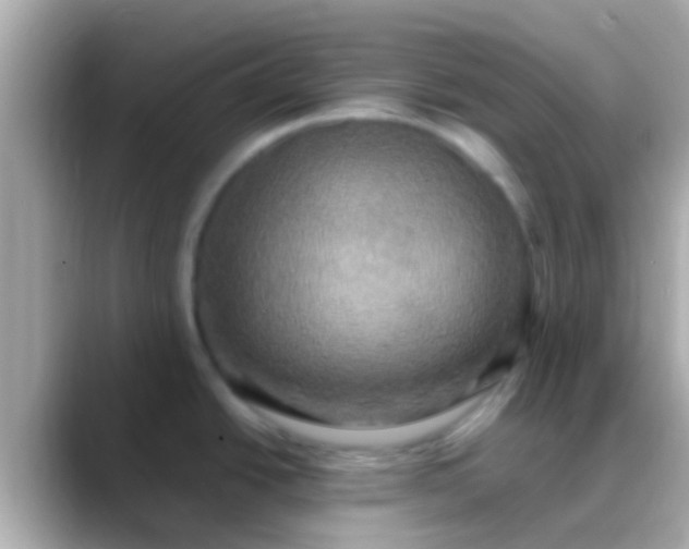 X0000088481438200706051352