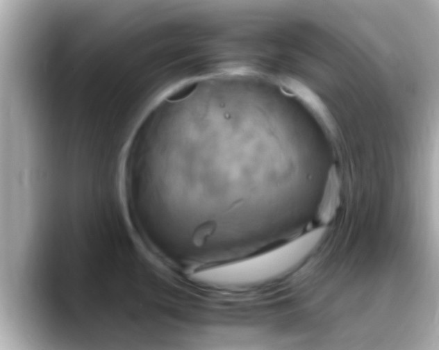 X0000088481439200706051352