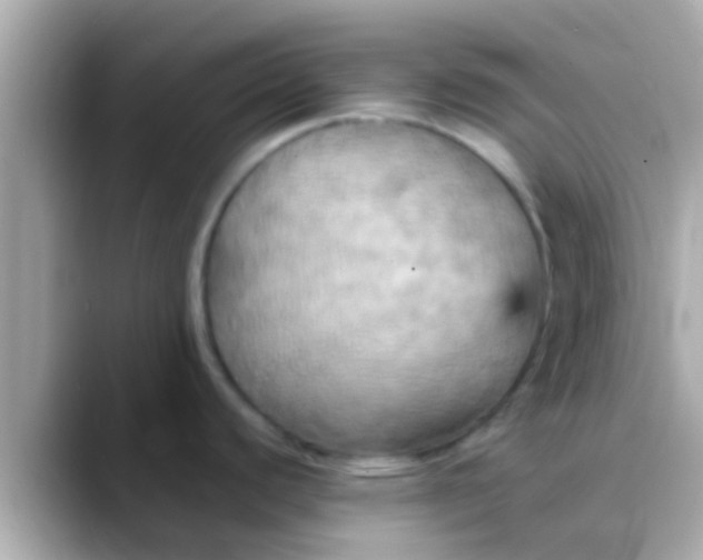 X0000088481440200706051352