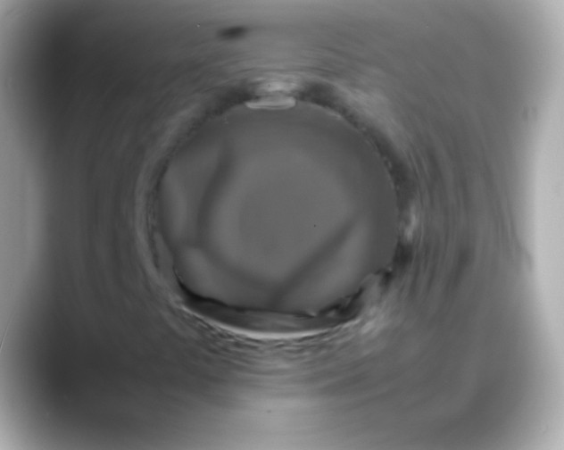 X0000088481441200706051352
