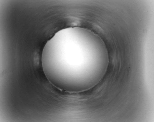 X0000088481442200706051352
