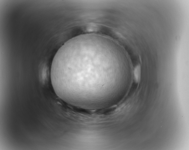 X0000088481443200706051352