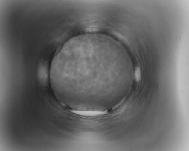 X0000088481444200706051352