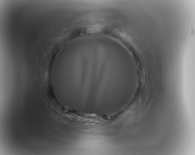 X0000088481445200706051352