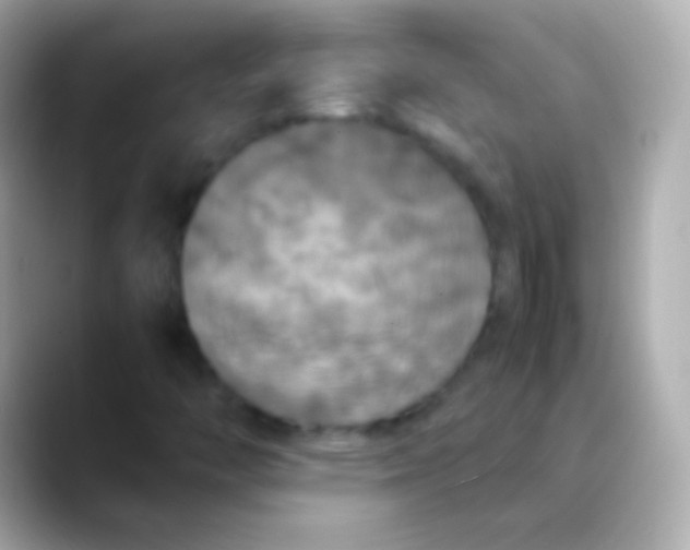 X0000088481446200706051352