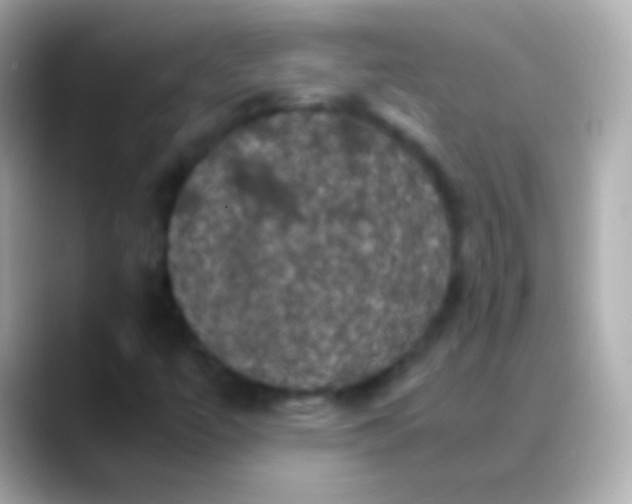 X0000088481447200706051352