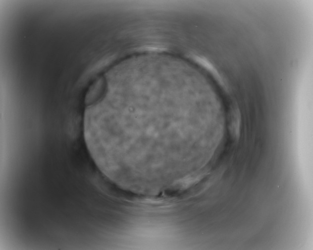 X0000088481448200706051352