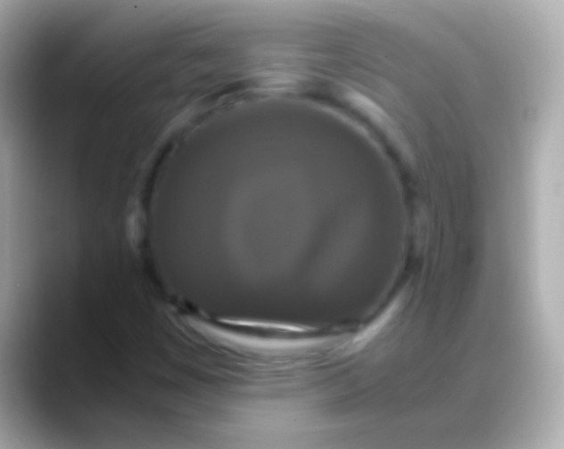 X0000088481449200706051352