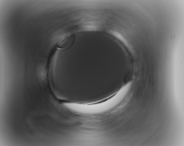 X0000088481450200706051352