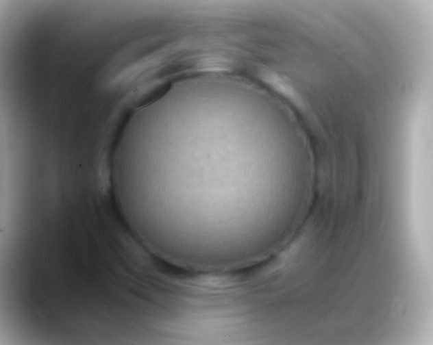 X0000088481451200706051352