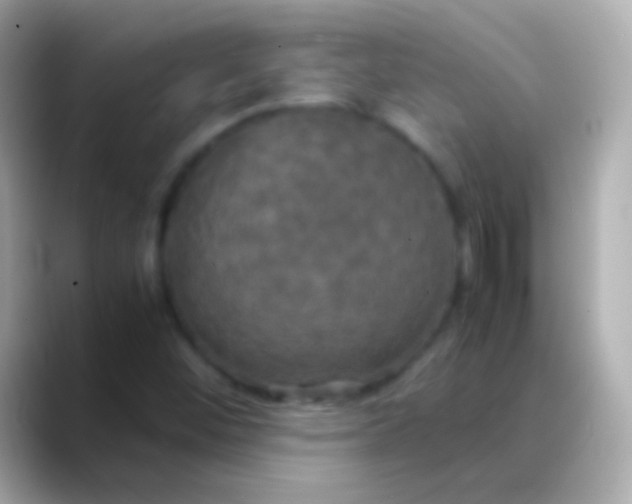 X0000088481452200706051352