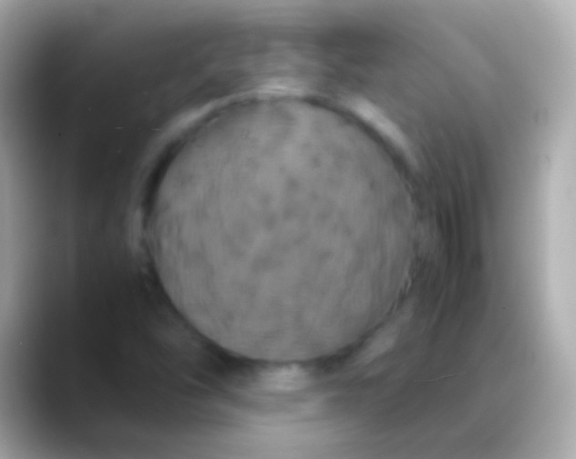 X0000088481454200706051352