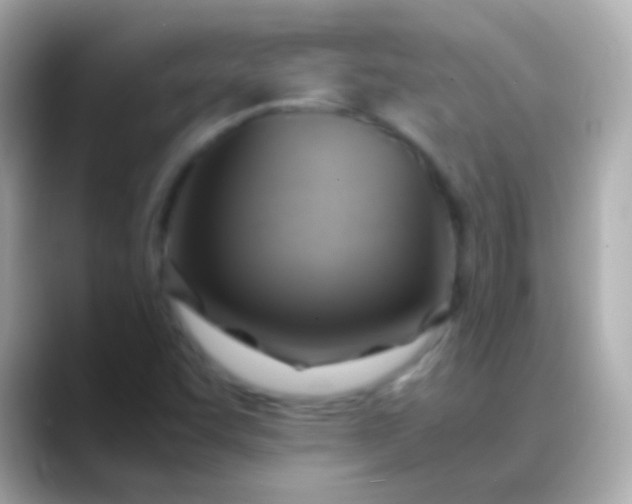 X0000088481455200706051352