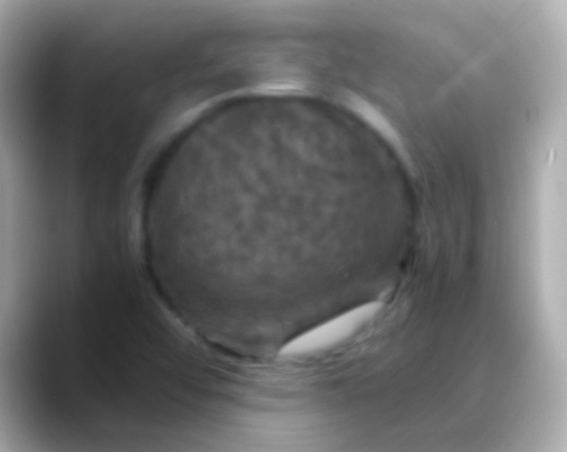 X0000088481456200706051352