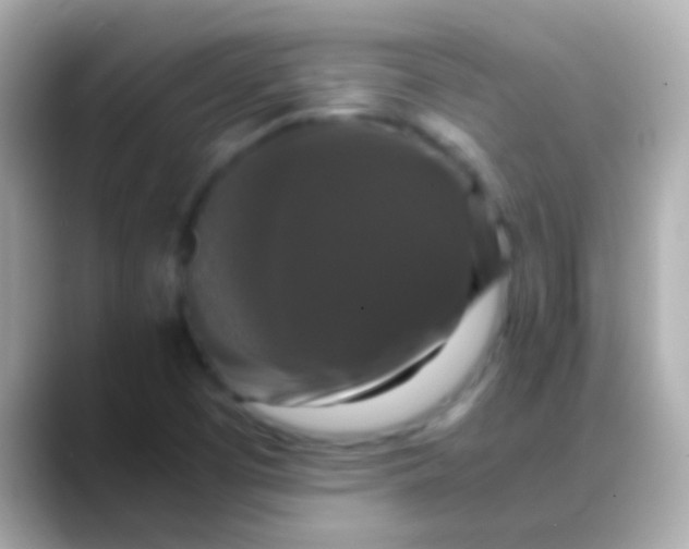 X0000088481457200706051352