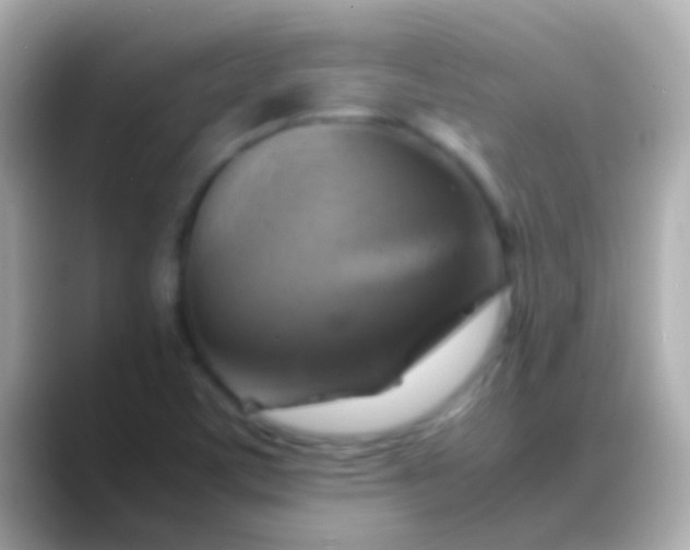 X0000088481459200706051352