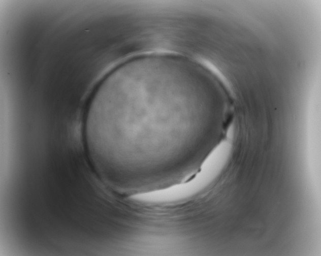 X0000088481460200706051352