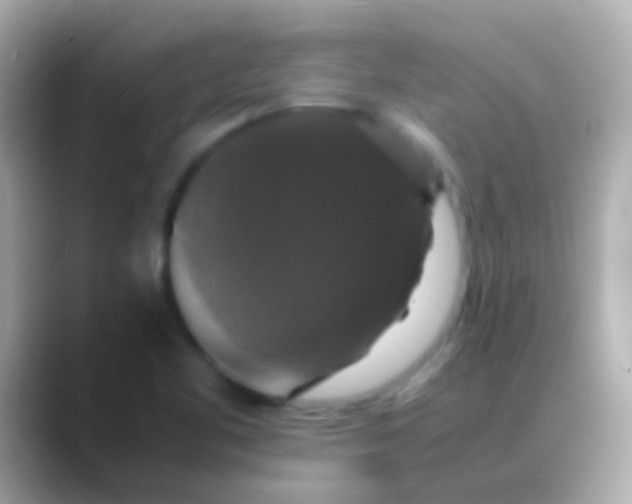 X0000088481461200706051352