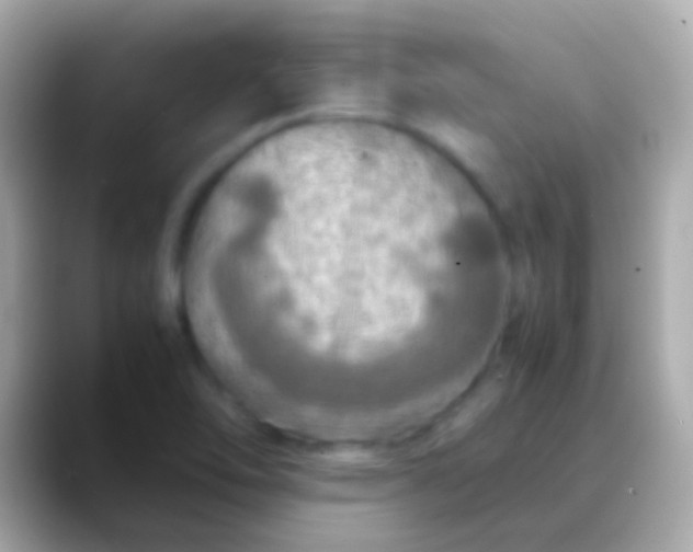 X0000088481462200706051352