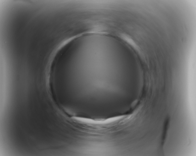 X0000088481463200706051352