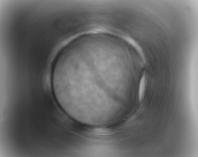 X0000088481464200706051352