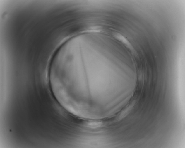 X0000088481466200706051352