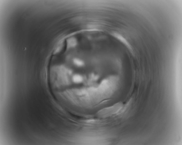 X0000088481467200706051352