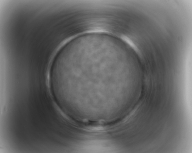 X0000088481468200706051352
