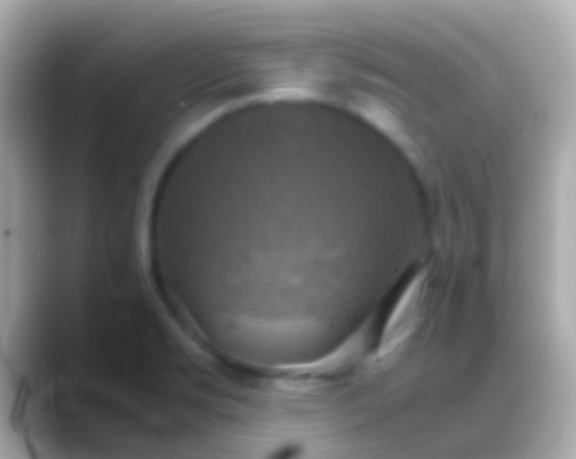 X0000088481469200706051351