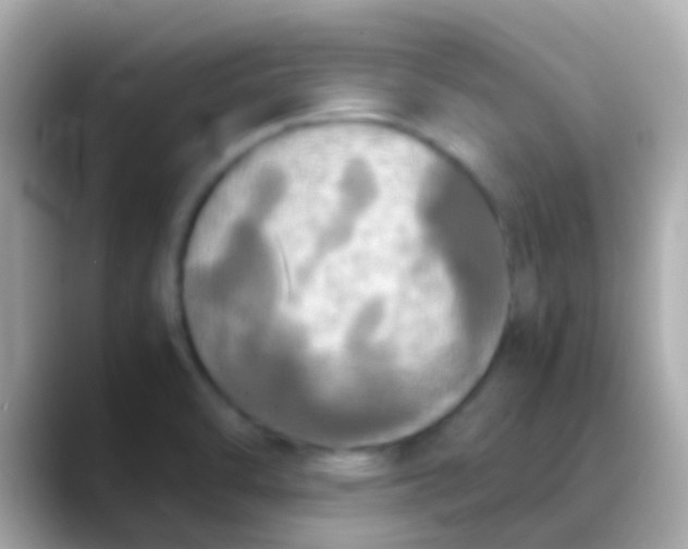 X0000088481470200706051351
