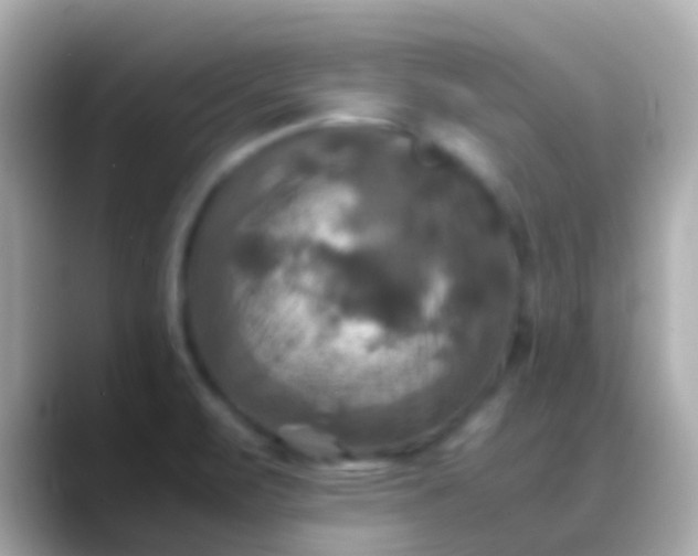 X0000088481471200706051351
