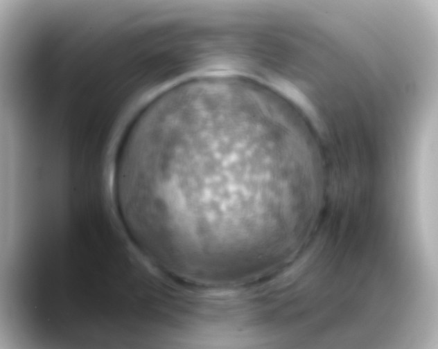 X0000088481472200706051351