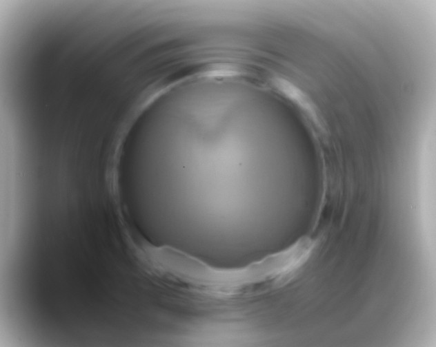 X0000088481473200706051351
