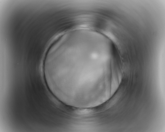 X0000088481474200706051351