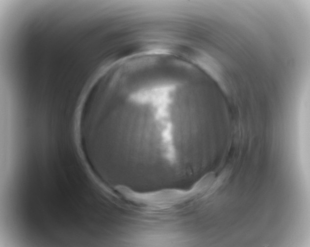 X0000088481475200706051351