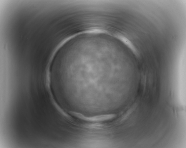 X0000088481476200706051351