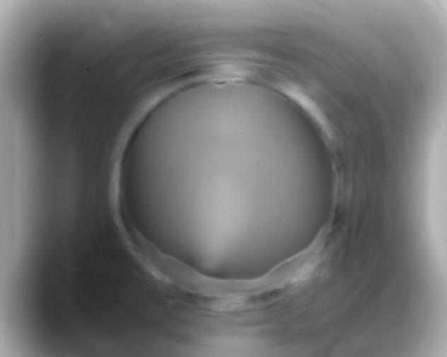 X0000088481477200706051351