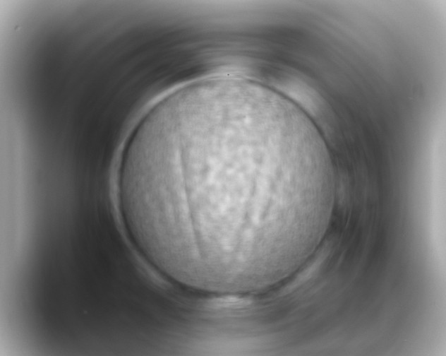 X0000088481478200706051351