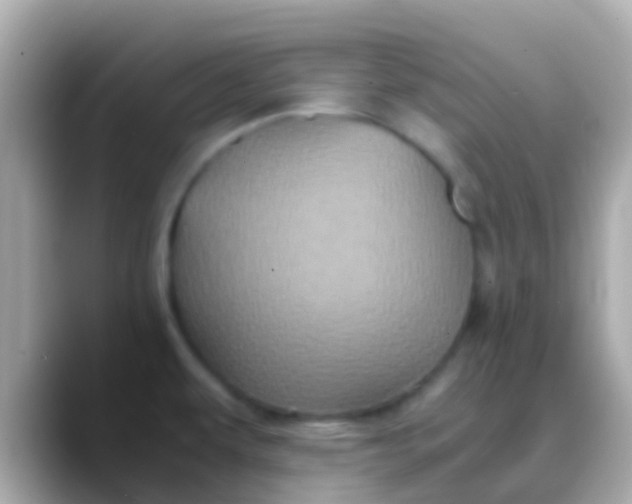 X0000088481479200706051351