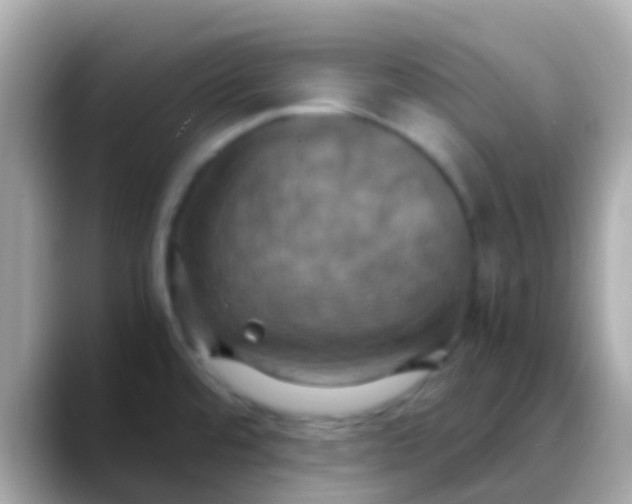 X0000088481480200706051351