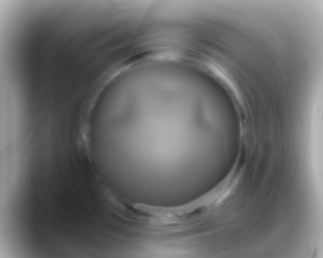 X0000088481481200706051351
